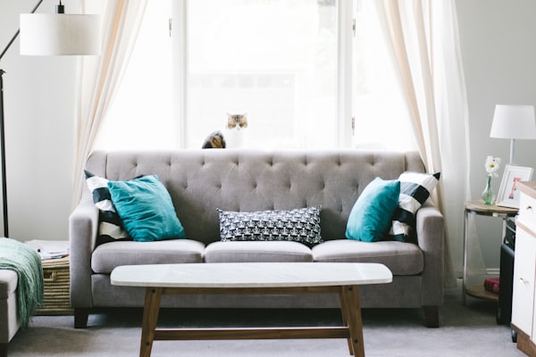 Throw Pillow Covers Set